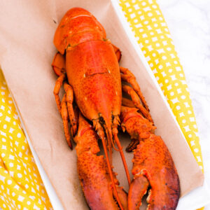 lobster on brown paper